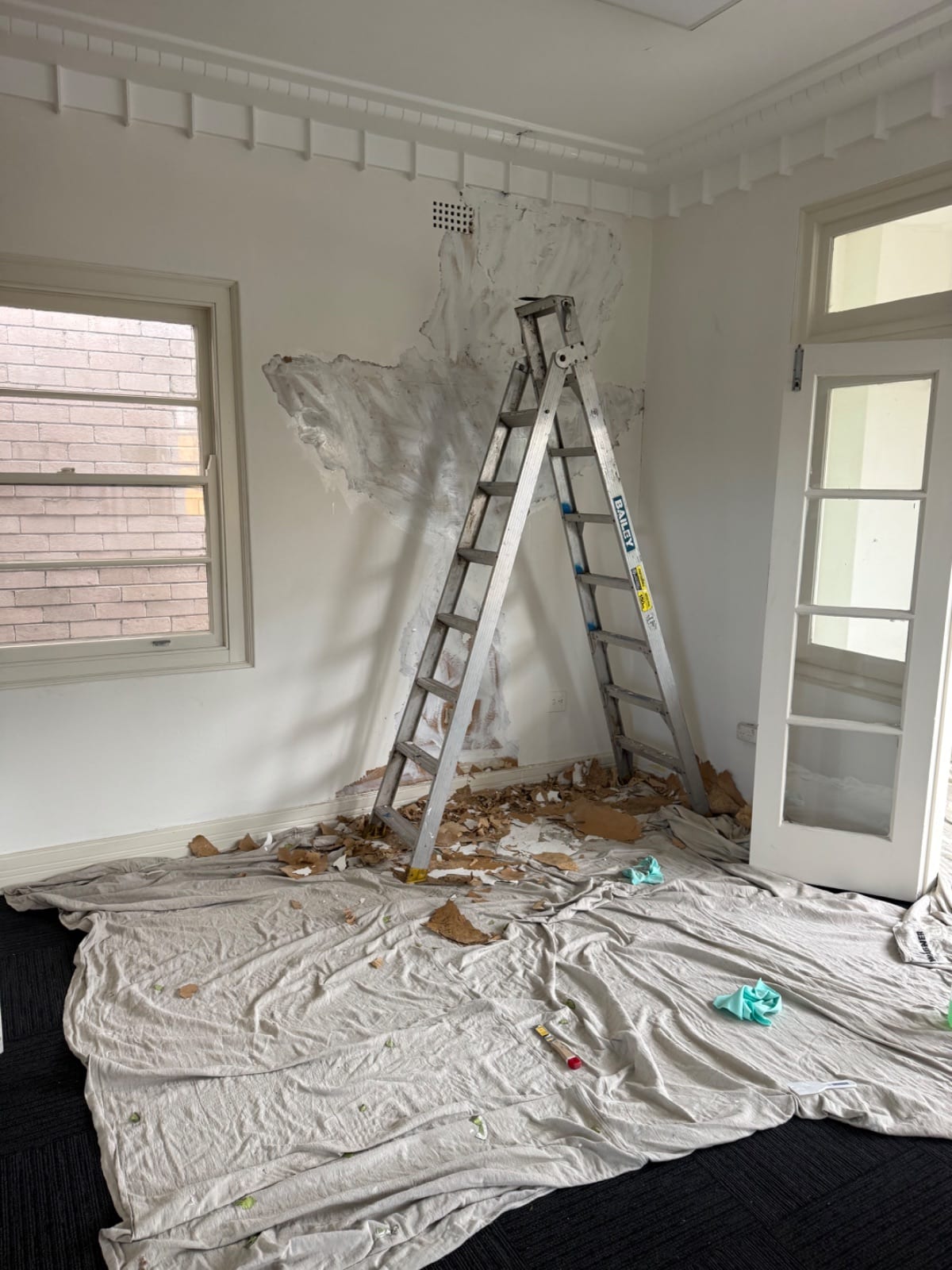 Remedial moisture and mould repair work in Gladesville