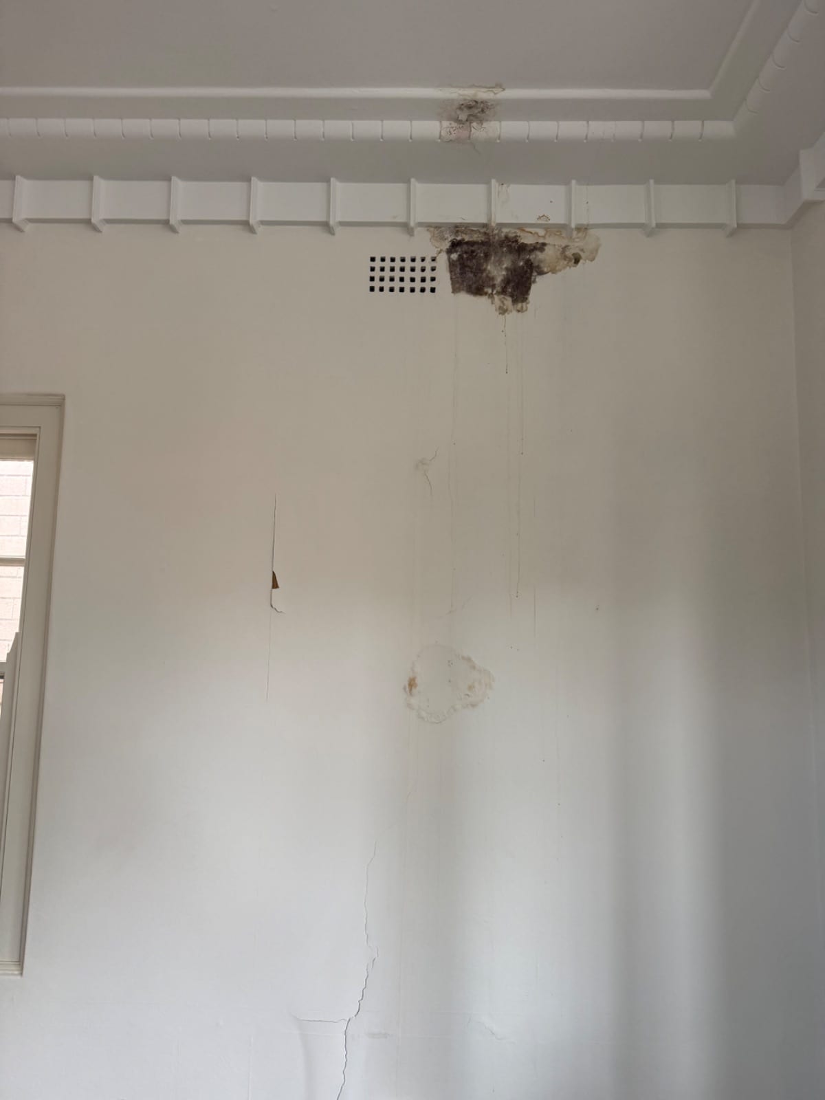 Mould in the top corner of a wall where water got behind the wallpaper, Gladesville