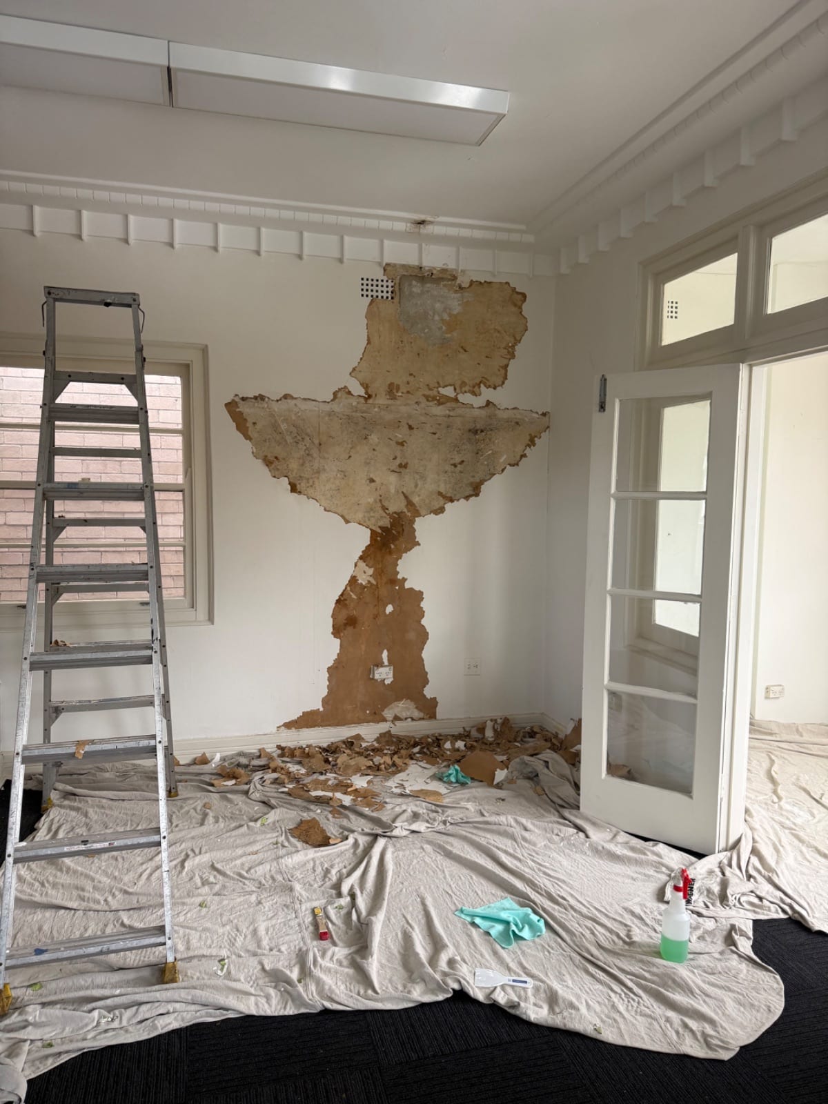 Treatment of the wall with Dulux mould stain blocker after a failing box gutter leak