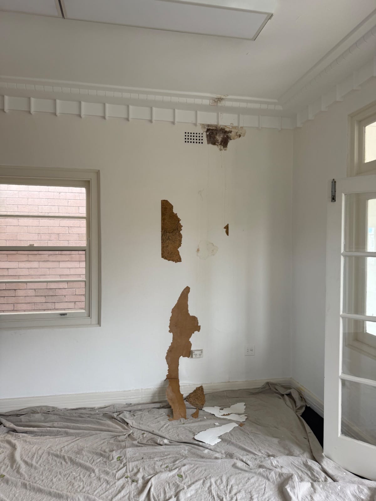 Preparation of the mould-affected wall in an old Gladesville house