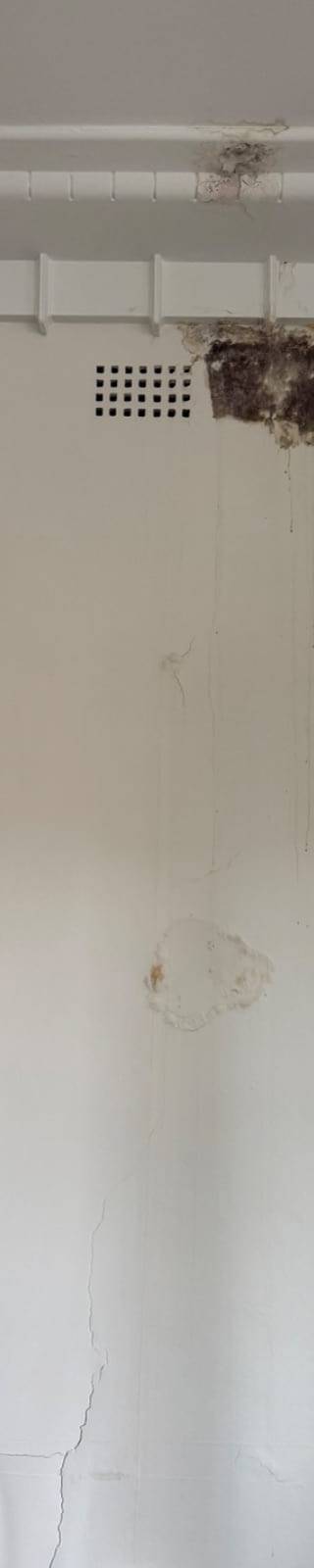 Mould in the top corner of a wall where water got behind the wallpaper, Gladesville